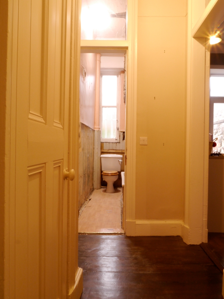 Liznylon_DURING_renovation_views_from_the_hallway